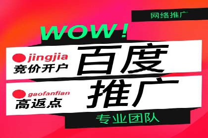 某某sem推广公司在某行业的应用与效果分析